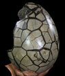 Septarian Dragon Egg Geode #64254-4